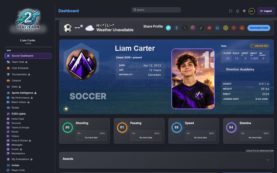 Player dashboard